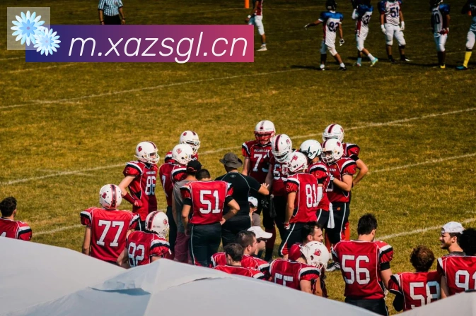 App Interface Preview